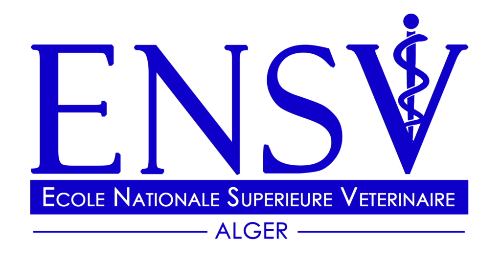 ensv logotype 04